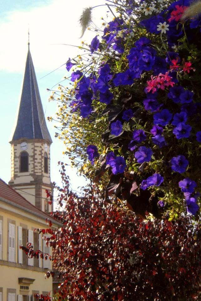 Gite "Le Piemont Des Vosges " Stotzheim Bagian luar foto