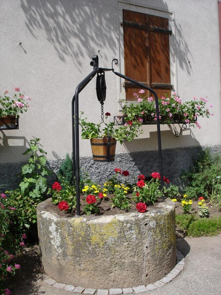 Gite "Le Piemont Des Vosges " Stotzheim Bagian luar foto