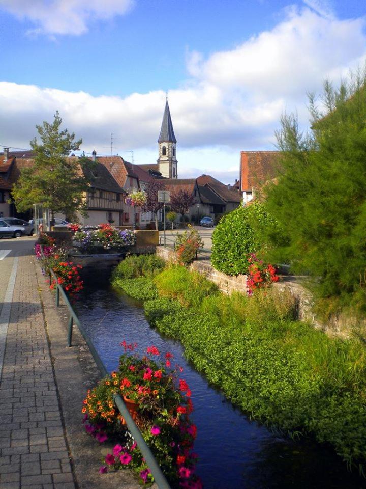 Gite "Le Piemont Des Vosges " Stotzheim Bagian luar foto