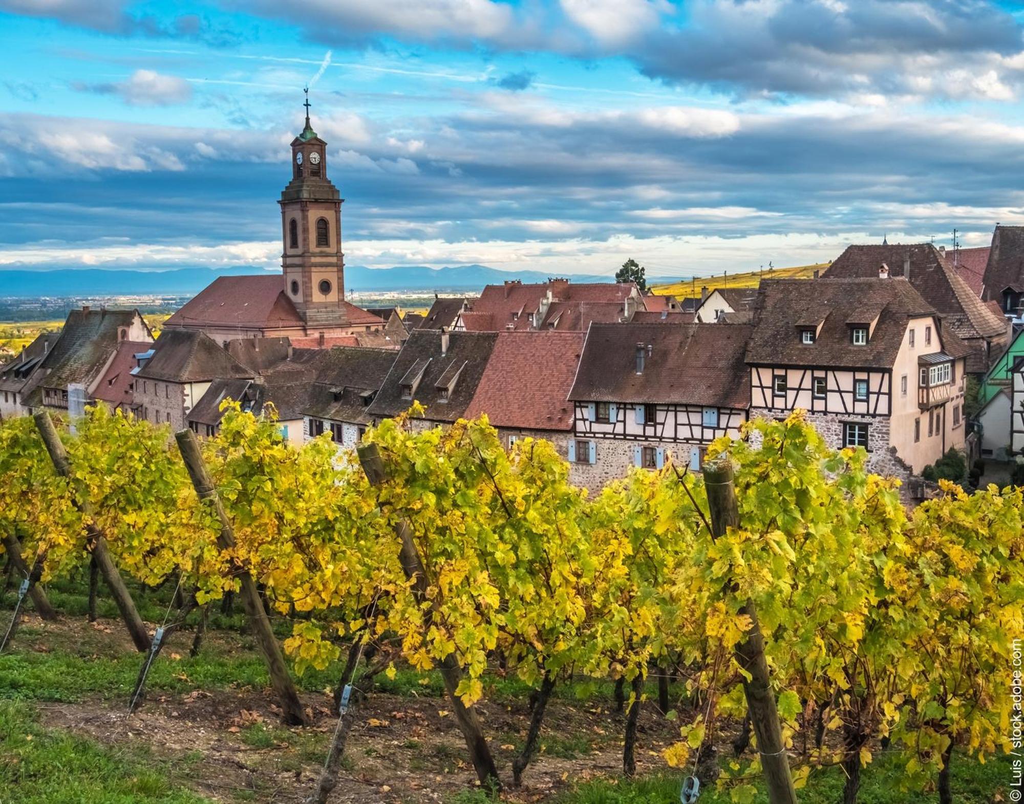 Gite "Le Piemont Des Vosges " Stotzheim Bagian luar foto