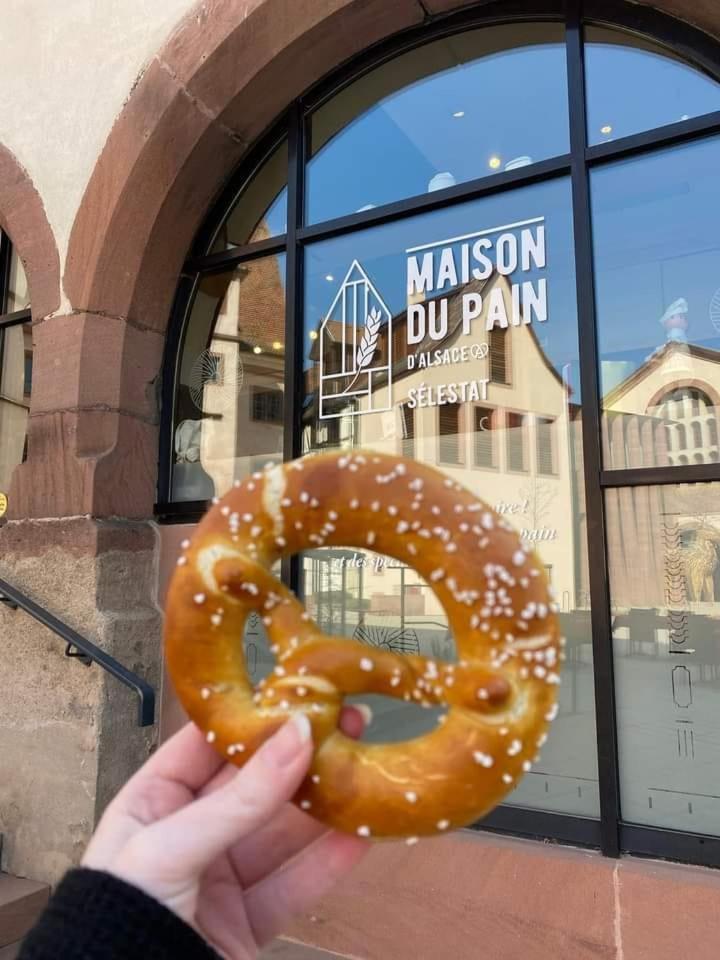Gite "Le Piemont Des Vosges " Stotzheim Bagian luar foto