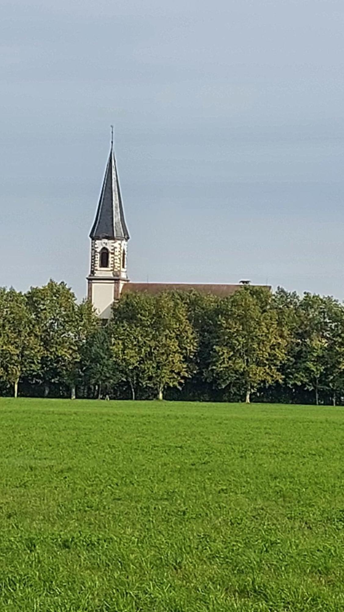 Gite "Le Piemont Des Vosges " Stotzheim Bagian luar foto