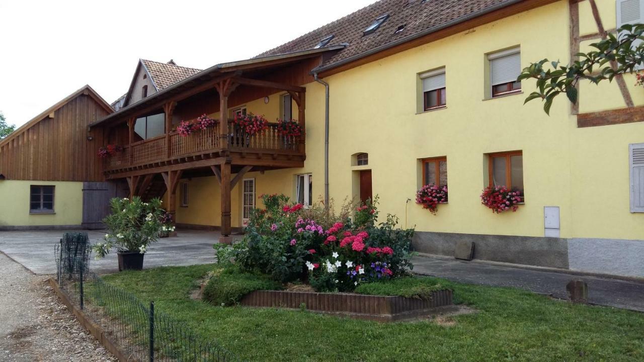 Gite "Le Piemont Des Vosges " Stotzheim Bagian luar foto
