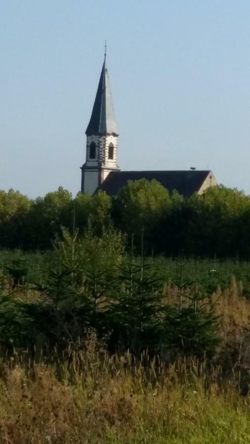 Gite "Le Piemont Des Vosges " Stotzheim Bagian luar foto
