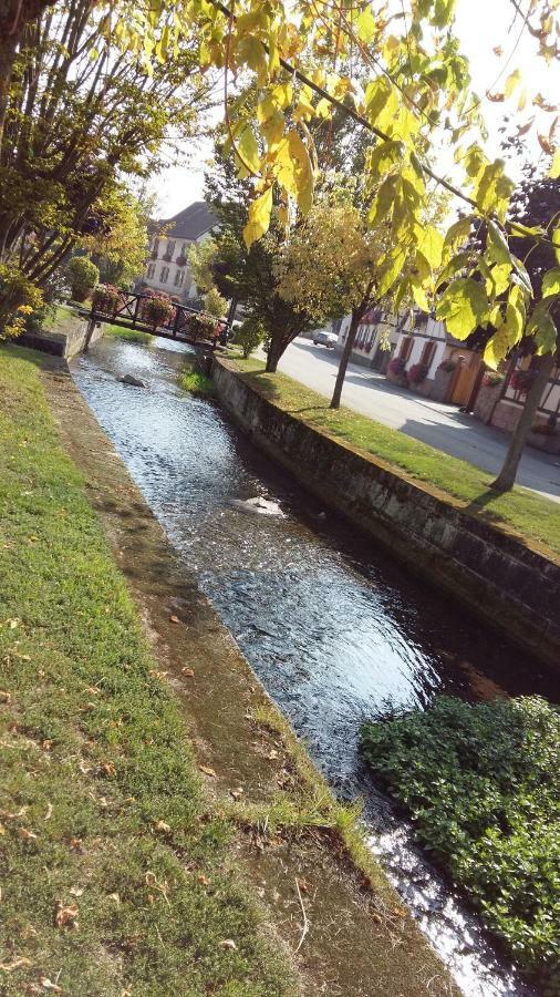 Gite "Le Piemont Des Vosges " Stotzheim Bagian luar foto